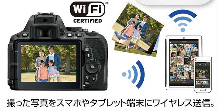 ニコンD5500の購入1年レビューと設定関連28記事まとめと口コミ