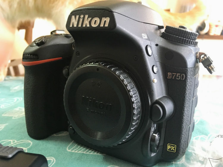 魅惑のフルサイズが僕の心を奪いましたD750を購入 | カメラアマ