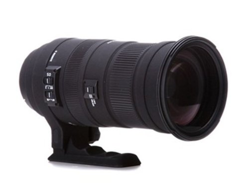シグマ(SIGMA) APO 50-500mm F4.5-6.3 DG OS HSM キヤノン用の買取価格