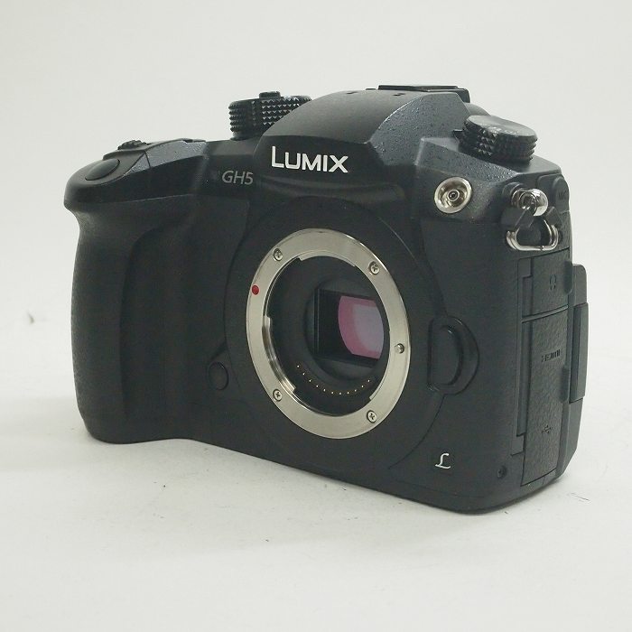 買取】パナソニック LUMIX DC-GH5-K ボディ | ナニワグループ