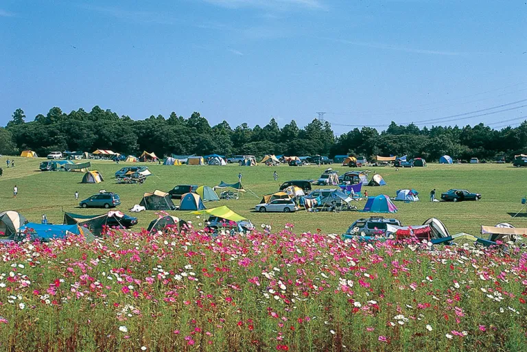森のまきばオートキャンプ場 （千葉県 房総）