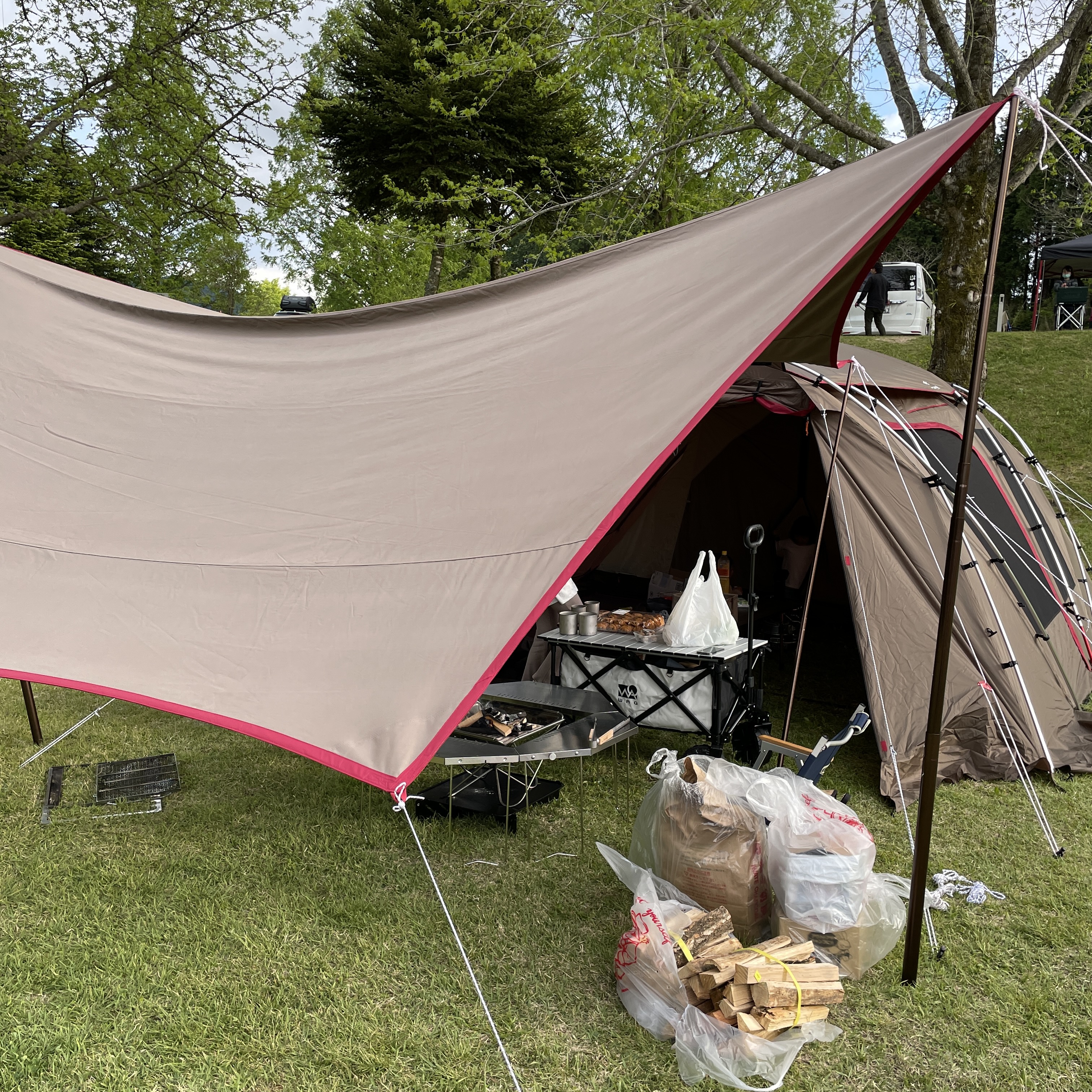 完全レビュー】テンマクデザイン「焚火タープコットンヘキサM」は買い