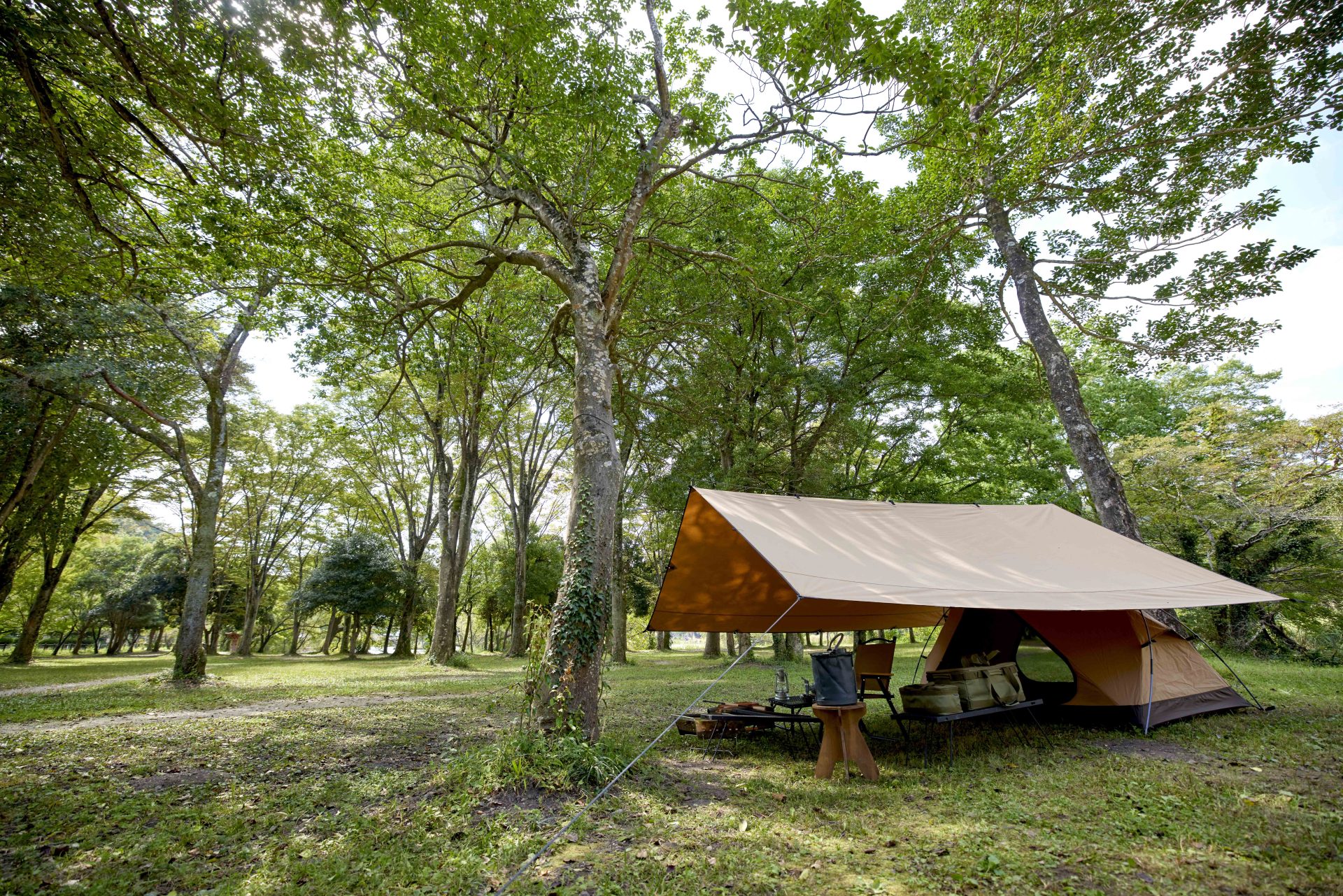 ビジョンピークスからポリコットン素材の「TCマルチタープSOLO」登場