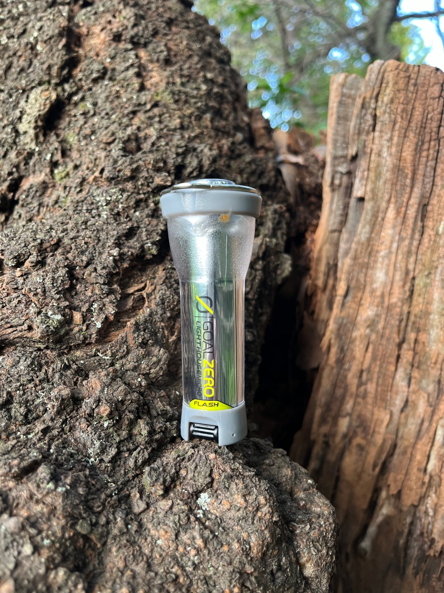 ゴールゼロの「ライトハウスマイクロフラッシュ」に日本別注グレー