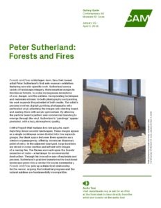 Peter Sutherland: Forests and Fires - Contemporary Art Museum St