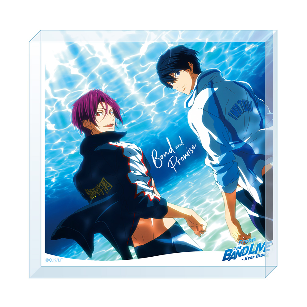 ブロマイド ランダム17種(Free! 10th Anniversary ‐Memories of Summer
