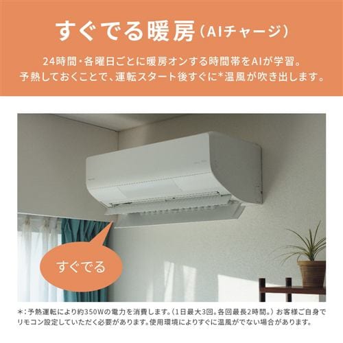 パナソニック エアコン 10畳 ナノイー搭載 ハイグレード 掃除機能 AI