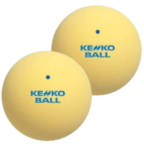 ダンロップ FORT-2P フォート 硬式テニスボール 2球入 1缶 DUNLOP