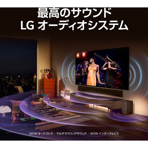 LG Electorinics OLED55C3PJA 有機ELテレビ 55V型 /4K対応 /BS・CS 4K