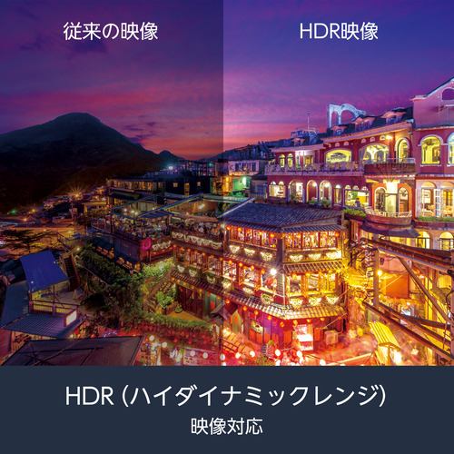 FUNAI 65V型 4K液晶テレビ Fire TV搭載 FL-65UF460【1年保証付