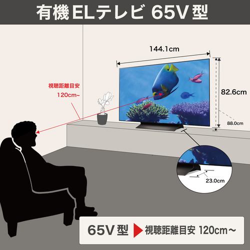 LG Electorinics Japan 有機ELテレビ OLED65C5PJA [65V型 ／4K対応