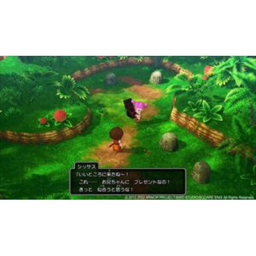 通常版〕 ドラゴンクエストX 目覚めし五つの種族 オフライン PLJM