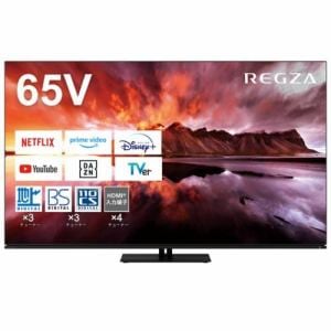 REGZA 65X8900N 有機ELテレビ65V型 レグザ X8900Nシリーズ 【DD