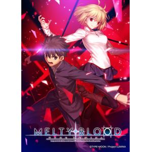 初回限定版】MELTY BLOOD: TYPE LUMINA MELTY BLOOD ARCHIVES Nintendo