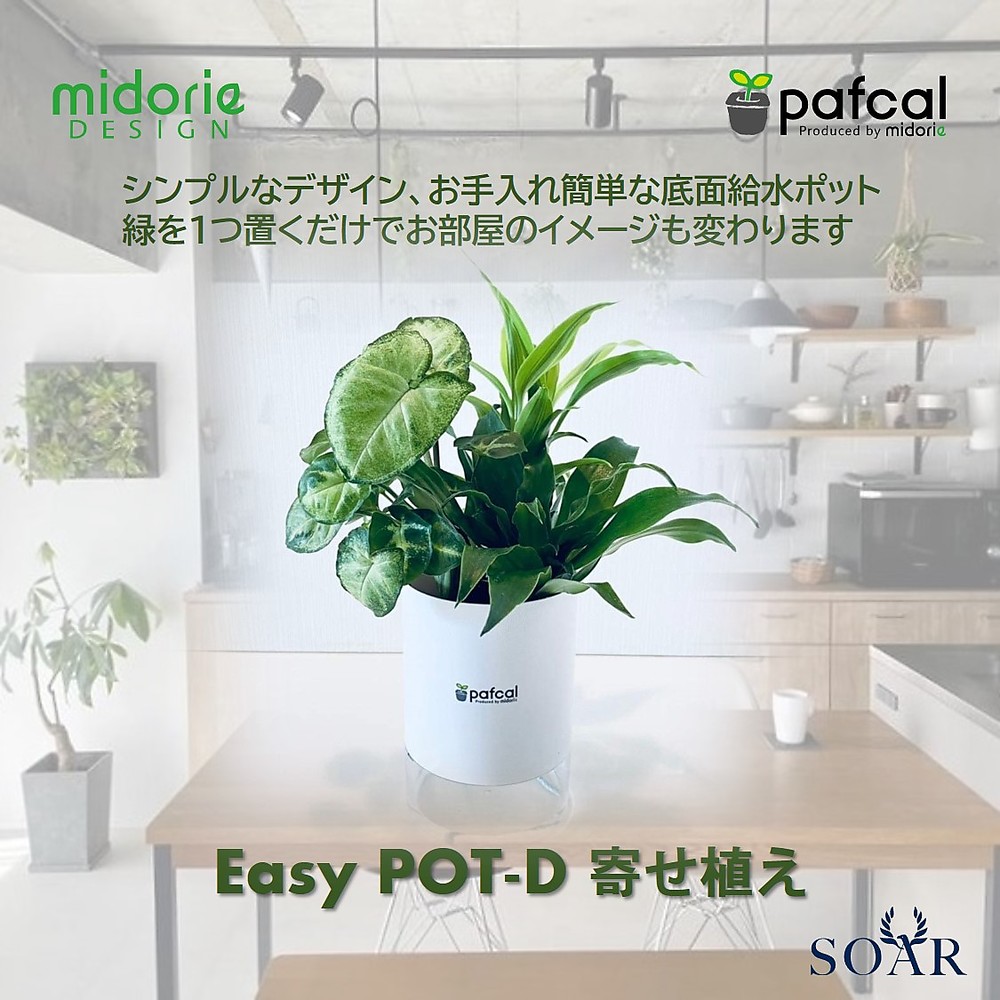 ヤマダモール | ミドリエ シリーズ 土を超える土壌 パフカル 寄せ植え