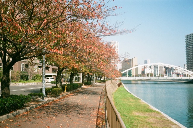 わたしのカメラ三昧 第36回 「リコー ハイカラー」 | トイラボカフェ
