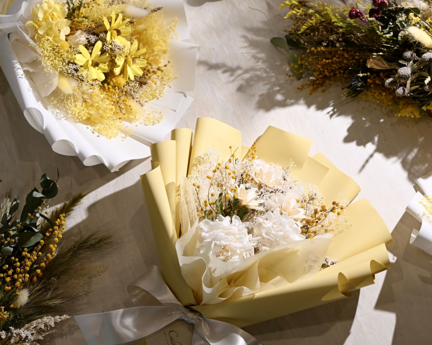 お知らせ】春の訪れを優雅に彩る「ミモザフェア2025」開催 | ドライ