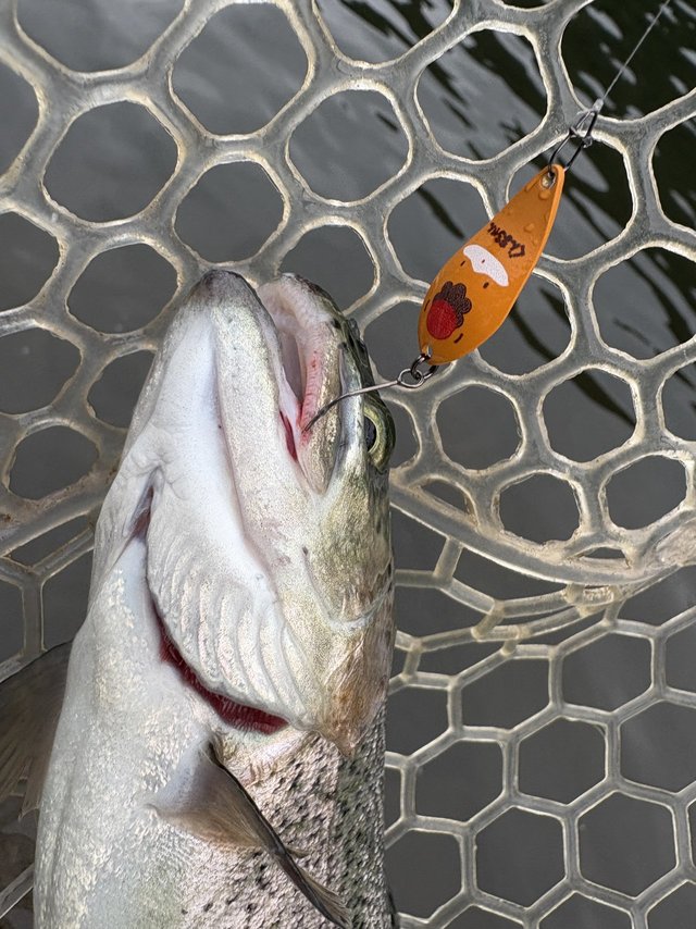 ダイワ トラウトロッド プレッソLTD AGS 61L-S(スピニング 2ピース