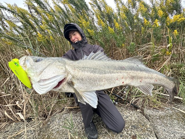 ダイワ シーバスロッド モアザン ブランジーノ EX AGS 94MMH