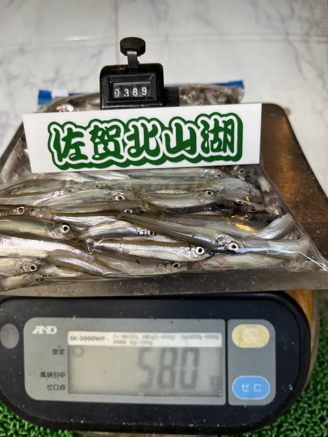 バリバス ワカサギ竿 ワカサギ穂先 VAR-MAX322HRX (2022年発売モデル