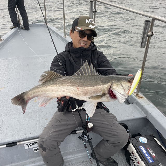 アピア シーバスロッド グランデージ メガソウル C62HH+ (2022年発売