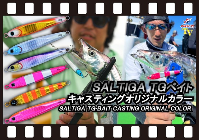 メタルジグ】ダイワ ソルティガTGベイト キャスティングオリジナル