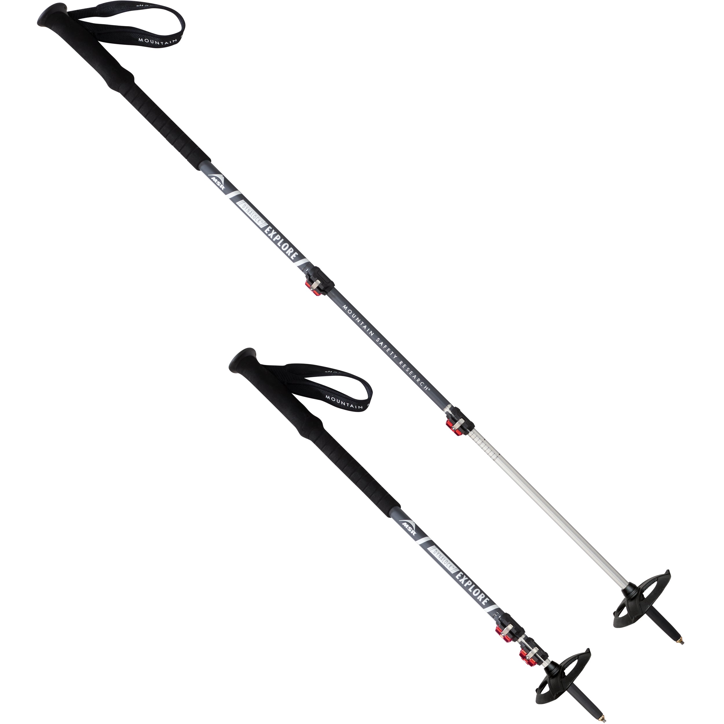 DynaLock Explore Series Backcountry Trekking Poles | MSR – Cascade