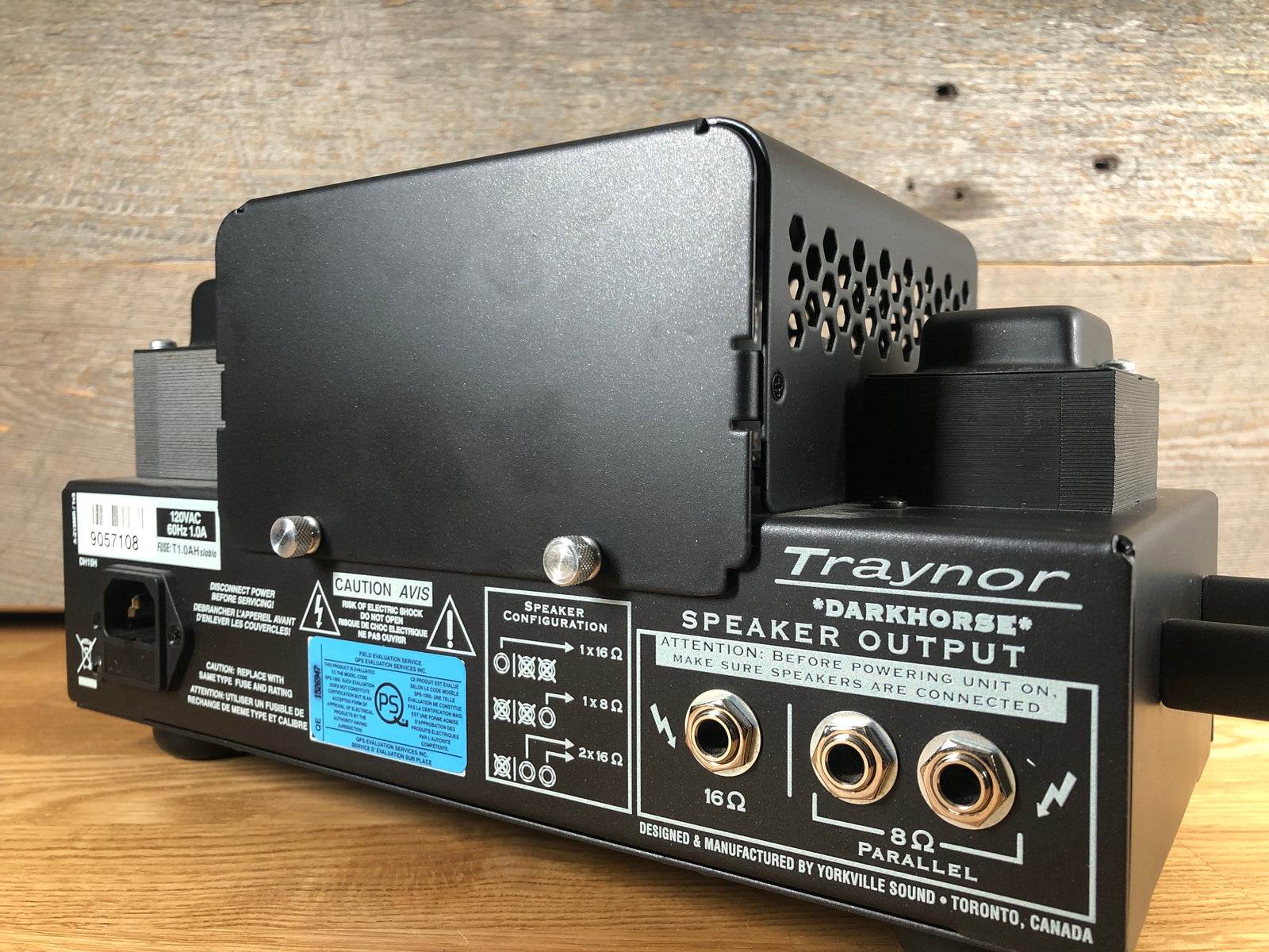 Traynor Dark Horse DH15H Tube Head Toronto, ON | Cask Music