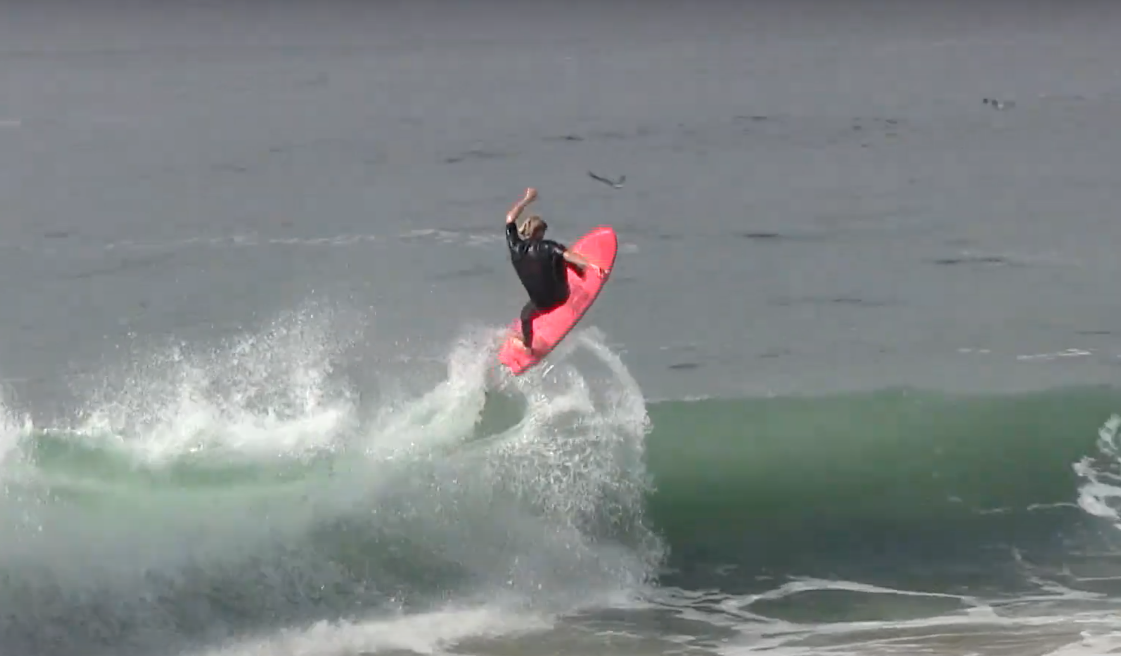 lost ロスト メイヘム コラボレーション ソフトボード – 【公式