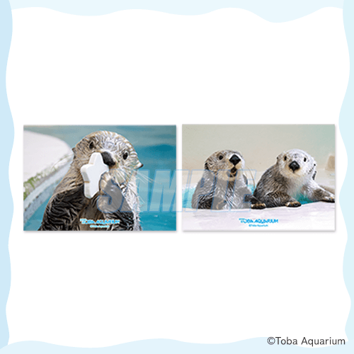 カプくじ×鳥羽水族館 ラッコのメイちゃんくじ リターンズ！ | カプくじ