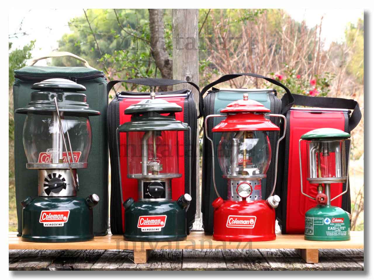 Coleman コールマン 小型ランタン用 ランタンケース レッド M