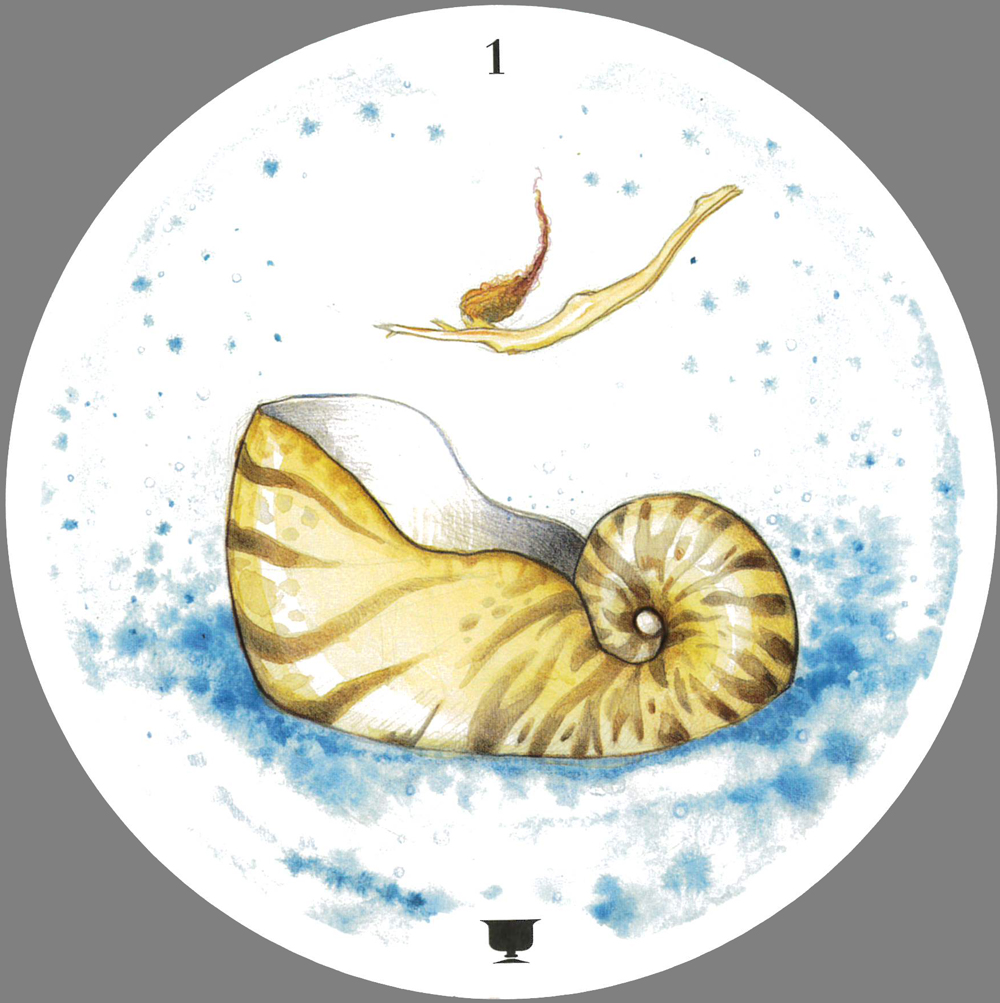 サークルオブライフタロット（Lo Scarabeo）[ Circle of Life Tarot