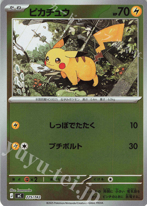 S-TD ピカチュウ(ミラー仕様) 買取 | [MC] スタートデッキ100 バトル