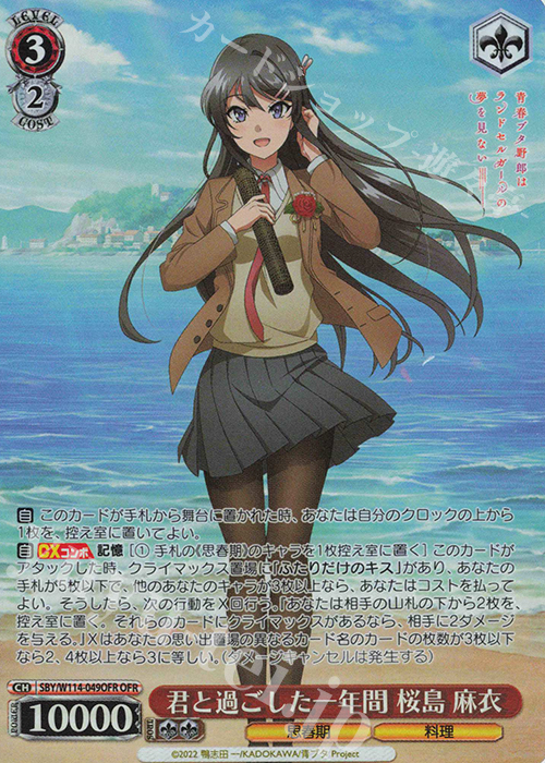 OFR 君と過ごした一年間 桜島 麻衣 販売 | 『青春ブタ野郎』シリーズ