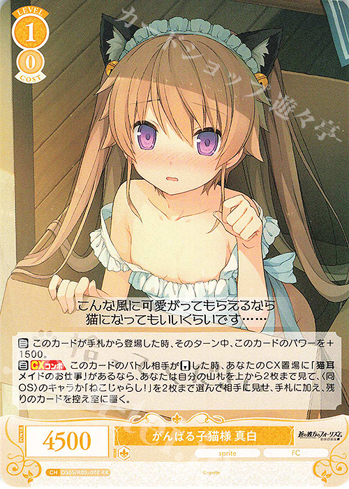RR がんばる子猫様 真白 販売 | sprite | ヴァイスシュヴァルツロゼ