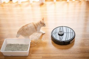 2眼カメラ搭載で障害物を認識&回避する 最新ロボット掃除機「Roborock