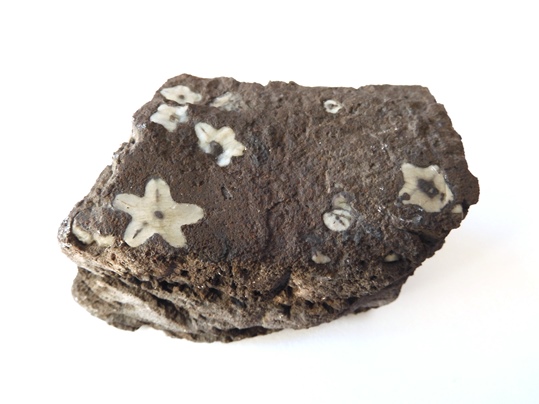 門司梅花石 - Ushidama Farm