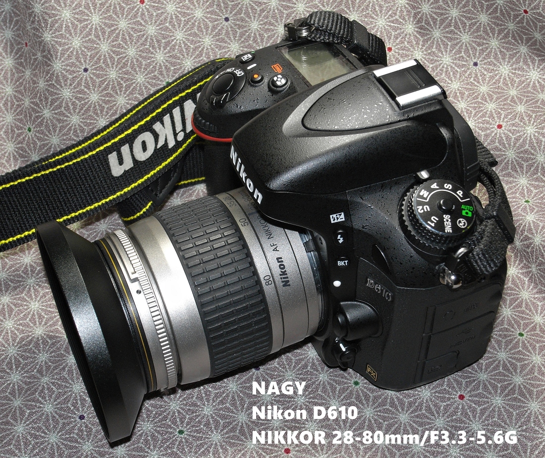 Nikon　F-60 DパノラマAFニッコール28-80mm. F3.5~5.6 N Mint] Nikon F60 + AF Nikkor 28-80mm f3.5-5.6D Zoom Lens SLR Film