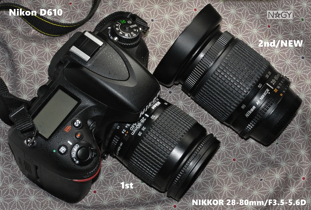Nikon　F-60 DパノラマAFニッコール28-80mm. F3.5~5.6 N Mint] Nikon F60 + AF Nikkor 28-80mm f3.5-5.6D Zoom Lens SLR Film