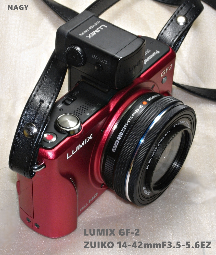 ZUIKO 14-42mmF3.5-5.6EZ - nagy's diary