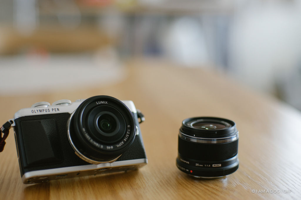 PEN E-PL8が気になり始めていたけどE-PL7からの乗り換えならばDMC-GF7