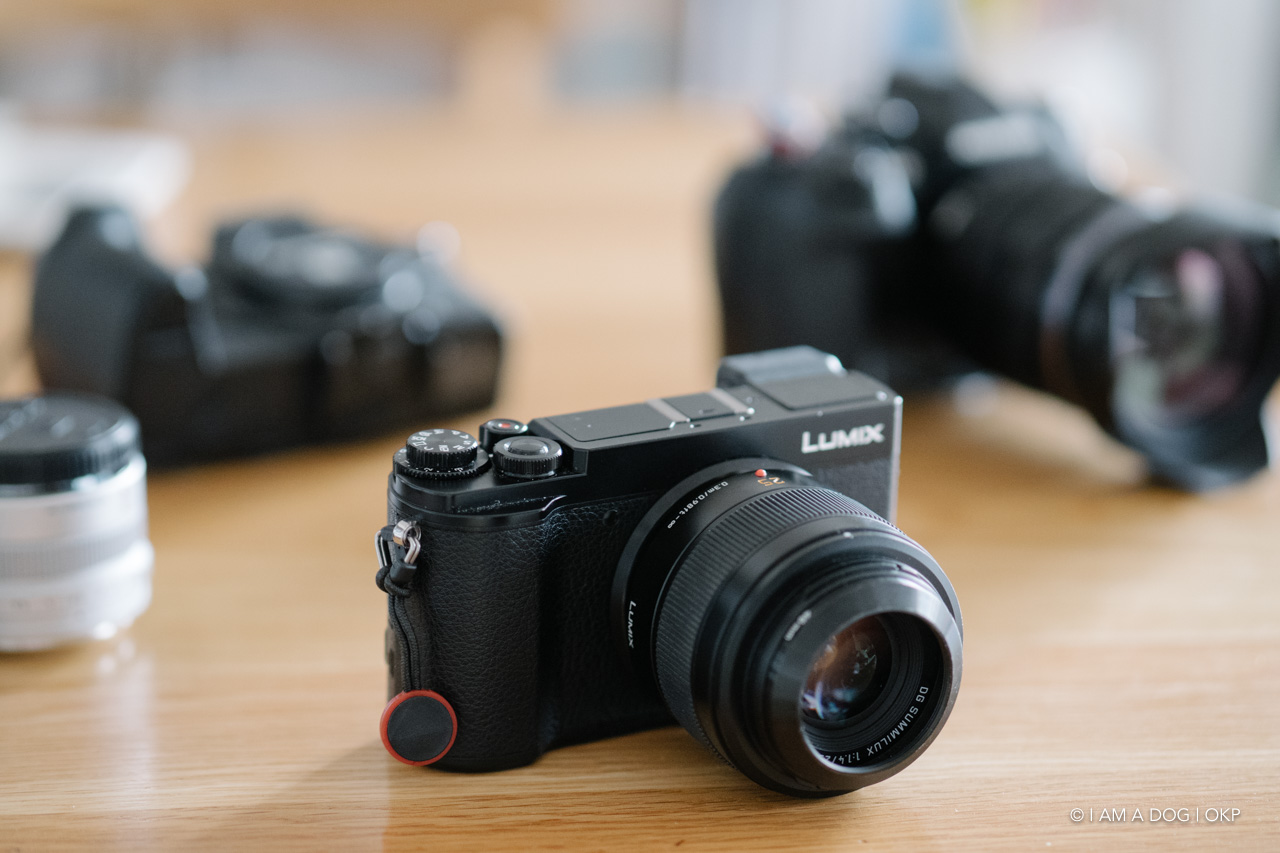今更ながらLUMIX DMC-GM1を入手：マイクロフォーサーズのコンパクト性