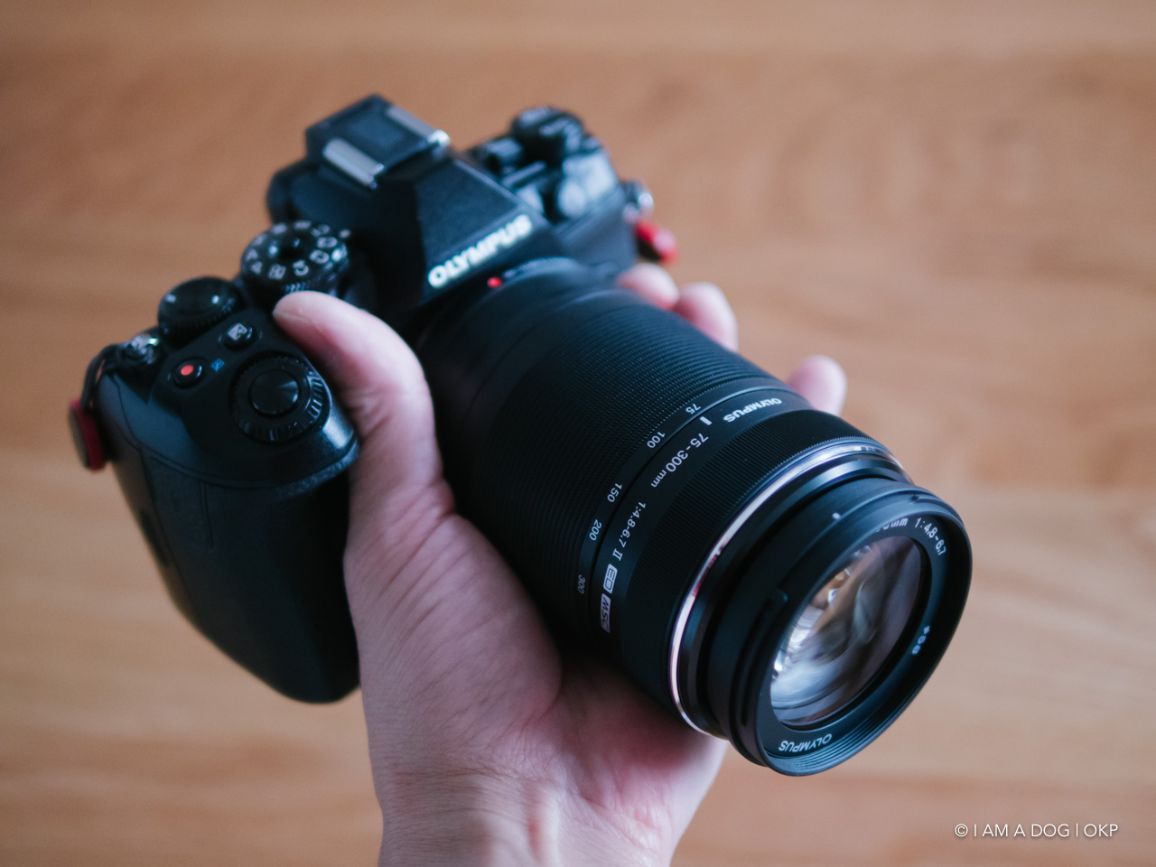 もっと評価されて良いのでは？ 3万円台の超望遠ズーム M.ZUIKO DIGITAL