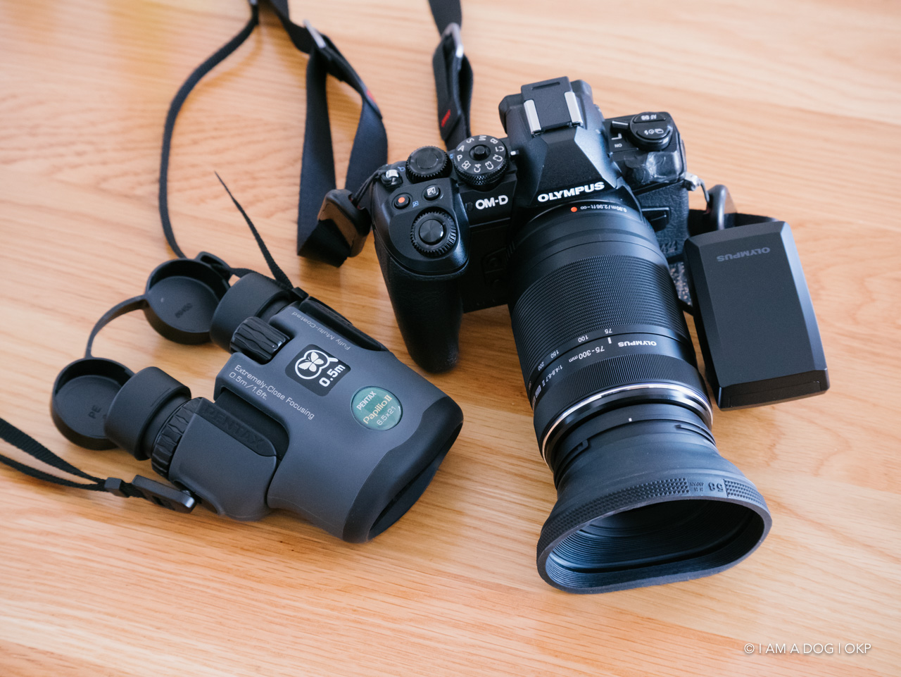 もっと評価されて良いのでは？ 3万円台の超望遠ズーム M.ZUIKO DIGITAL