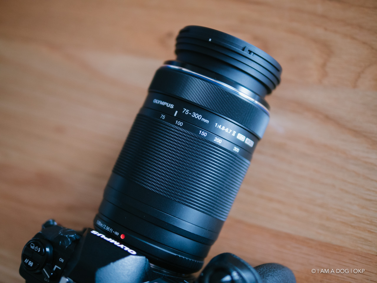 もっと評価されて良いのでは？ 3万円台の超望遠ズーム M.ZUIKO DIGITAL