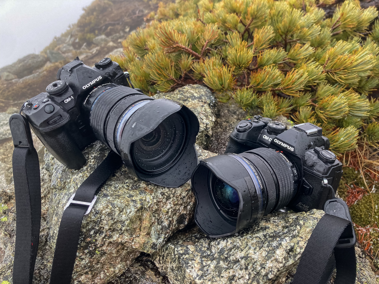 オリンパス最後のフラッグシップ機の丁度良さ：OLYMPUS OM-D E-M1 Mark