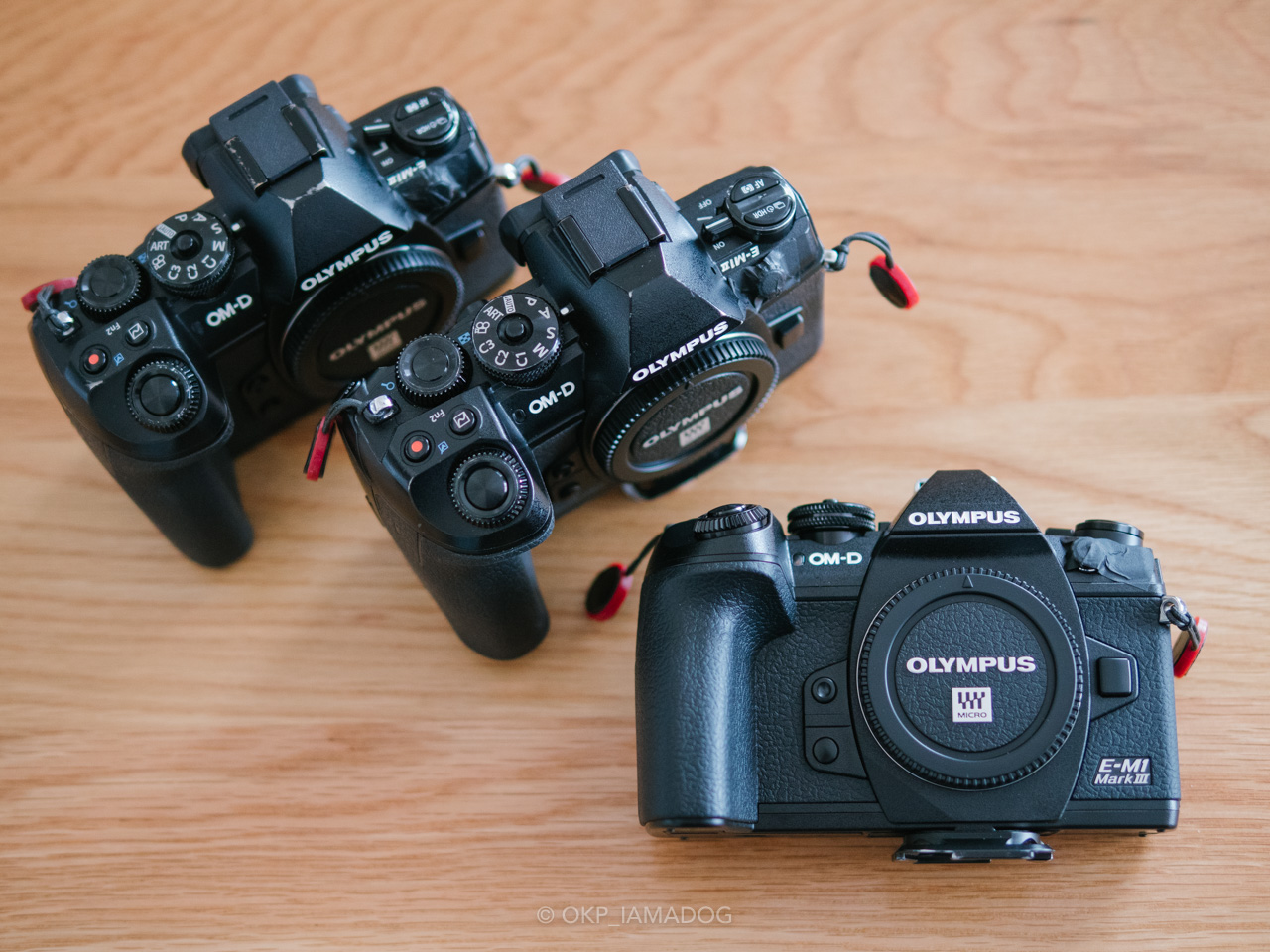 オリンパス最後のフラッグシップ機の丁度良さ：OLYMPUS OM-D E-M1 Mark