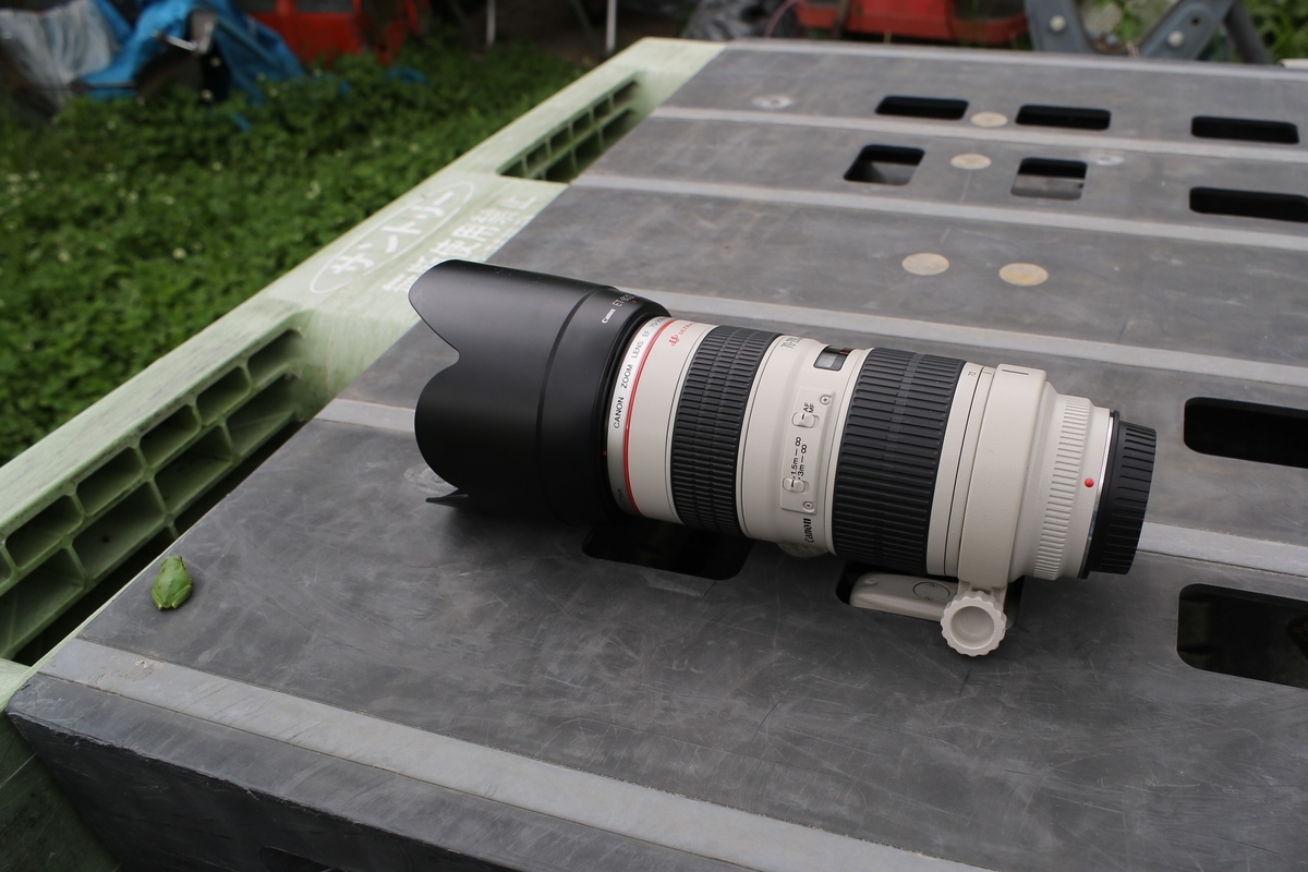 EF70-200mm F2.8L USM - SADAの心躍るブログ～ジャンクコーナーで差を