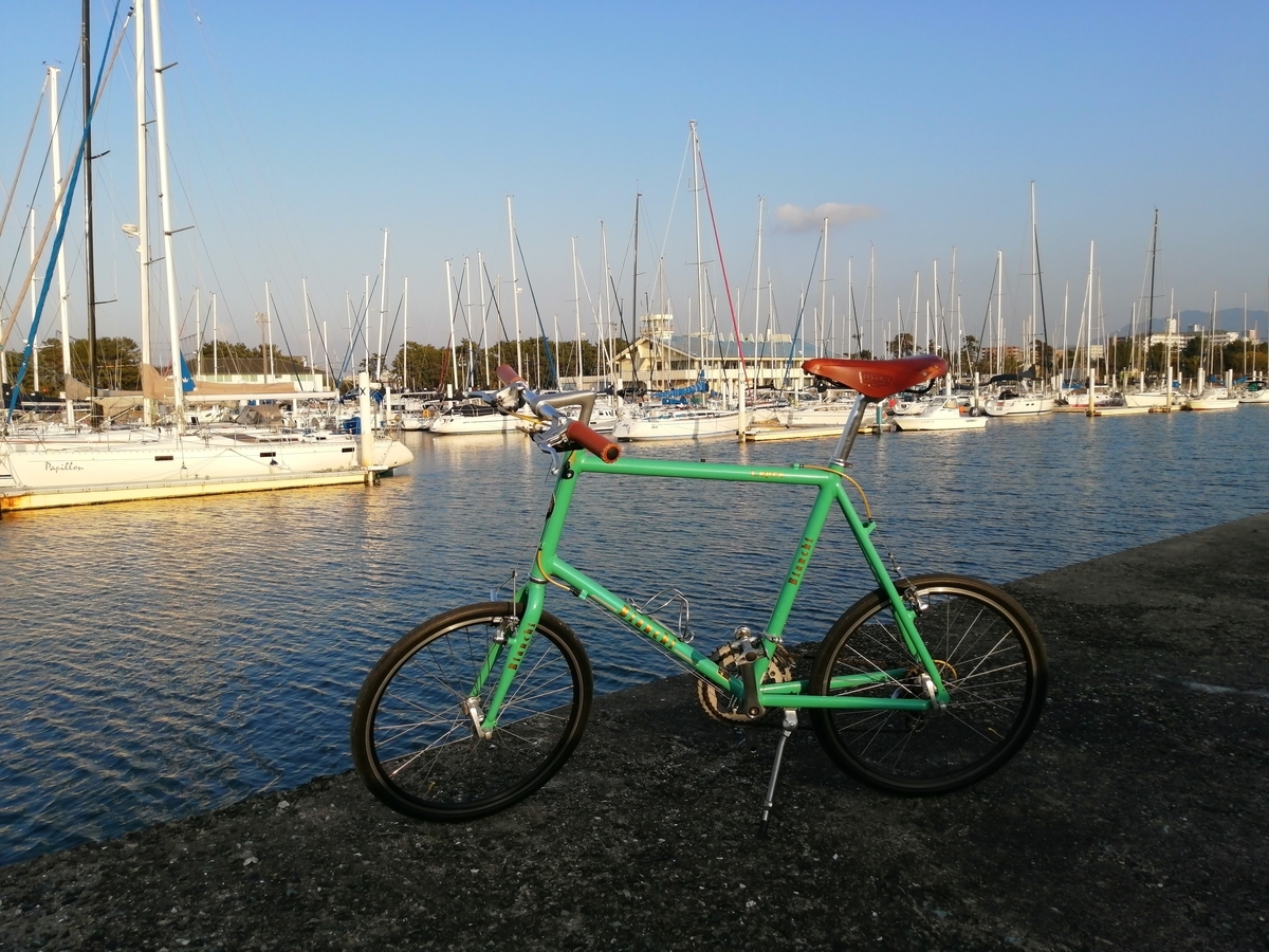 ビアンキ ミニベロ9（Bianchi Minivelo-9 Lepre)を購入したので