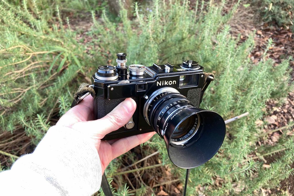 NIKON S3 オリンピックとNikkor S 50mm f1.4で印西市の花の丘公園を